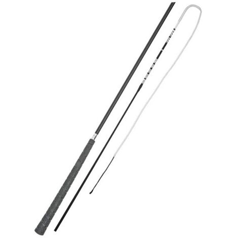 Frusta per carrozza punta bianca 240 cm