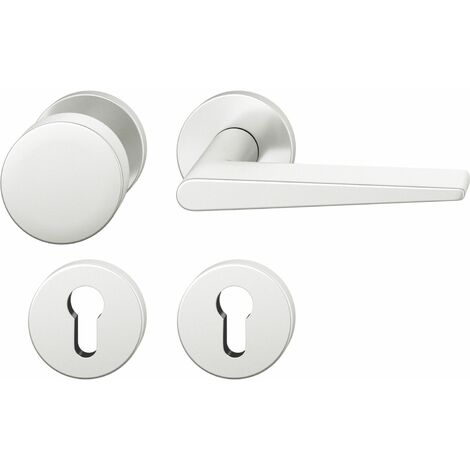 FSB Wechselgarnitur 12 1005 ASL auf Rosette PZ, Aluminium silber eloxiert