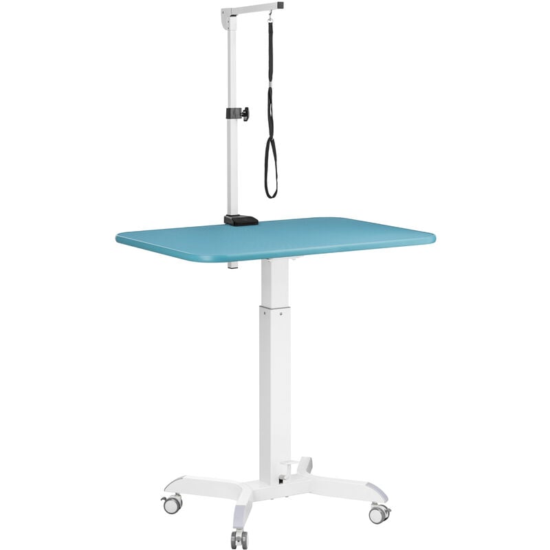 Fudajo - Grande table de toilettage Réglable en hauteur Table Soins Pelage Chien Chat Grooming