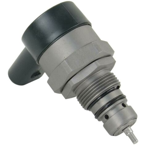 Fuel Pump Pressure Regulator Valve 0281002494 A6110780449 For