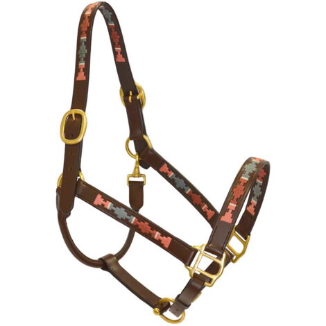 Full, Marrone : Cavezza Reverso Winner in cuoio marrone con decorazione rosa, bordeaux, grigio e bianco
