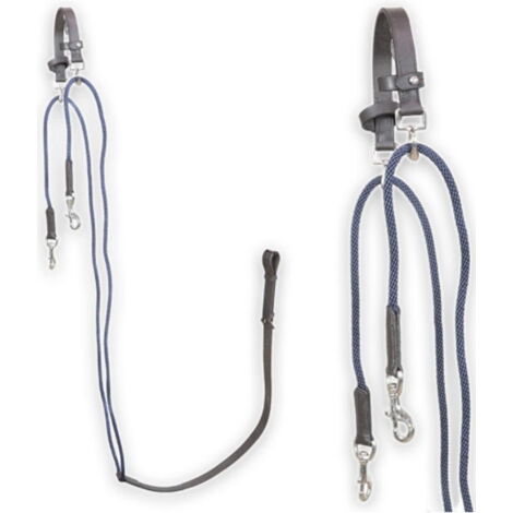 Full, Marrone: Chambon abbassatesta Horses