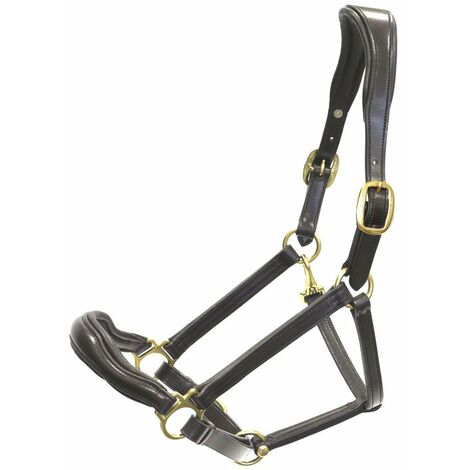 Full, Marrone: Gagnant Cavezza en forme de cuir profilé et rembourré avec double boucle sur le dessus en laiton brillant