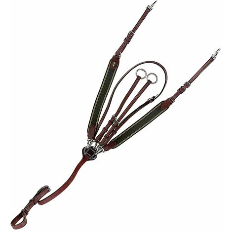 Full, Marrone: Plastron en cuir et élastique avec martingale détachable et fixation de selle Winner Special