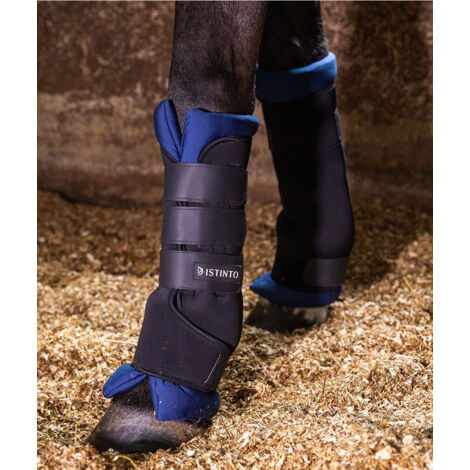 Full, Nero e ottanio: Set 4 Stable boots Distinto con neoprene e dettagli in pelle sintetica  più  cappellino omaggio