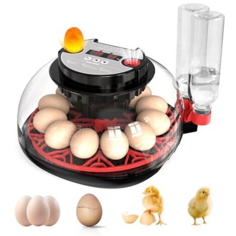 Fully automatic 12-egg egg incubator with water supply, automatic egg turner, and temperature and humidity control.