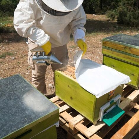 Fumeur d'abeille de ruche, pulvérisateur de fumeur d'abeille, équipement apicole en acier galvanisé, cuir de vachette