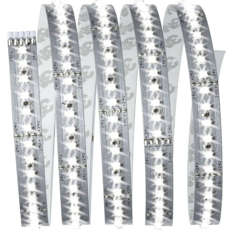MaxLED 1000 70586 Ruban led (Base) avec connecteur mâle 24 v 1.5 m blanc lumière du jour 1 pc(s) - Paulmann