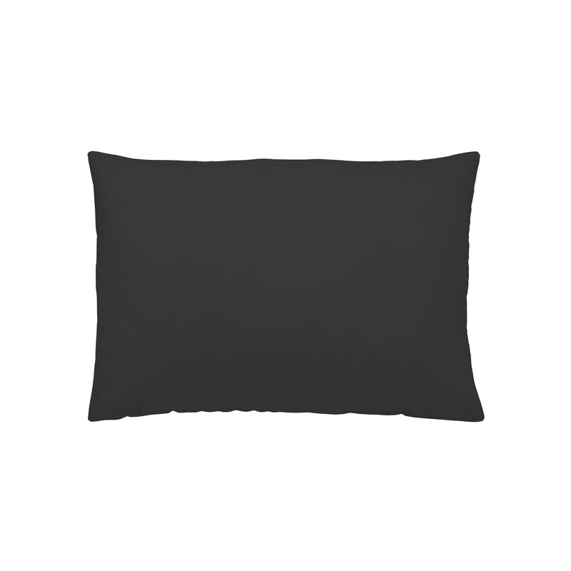 

Funda de almohada Lua Dreams Glamurous (50 x 80 cm)