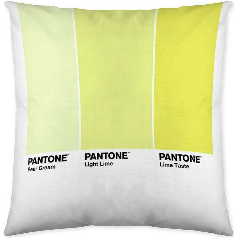

Funda de cojín Ombre C Reversible (50 x 50 cm)