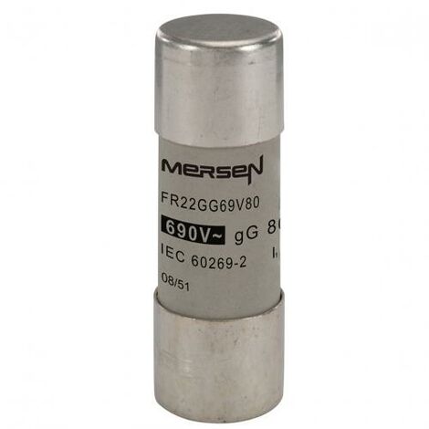 Fusibile 22×58mm 690V 80A ELTFR22GG69V80 per impianti industriali