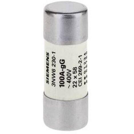Fusibile Cilindrico 22X58 100A Gg ( Siemens Cod. 3Nw62301 )