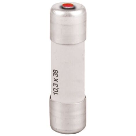 Fusibile gL/gG 10,3x38 con spia 25A