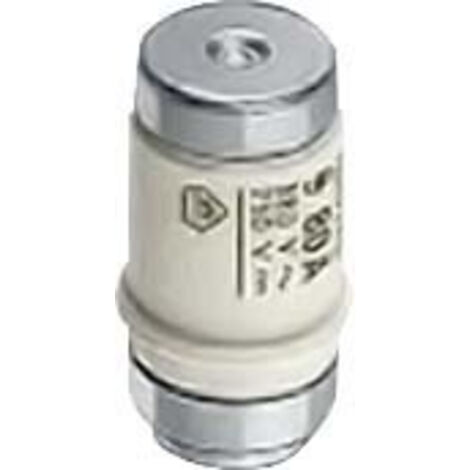 Fusibile Neozed Gl-Gg D03 80A 250Vcc 400Vca ( SIEMENS cod. 5SE2280 )