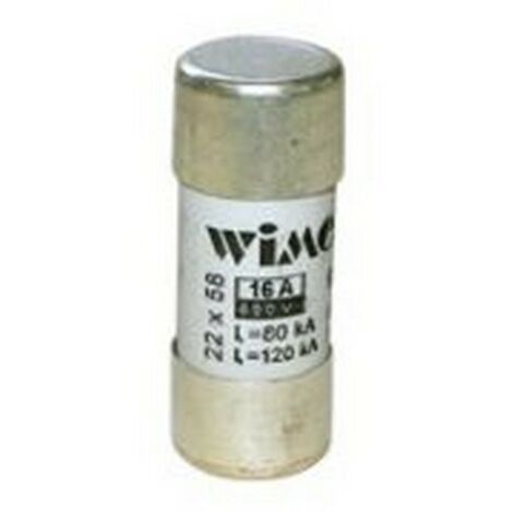 Fusibili 22x58 gG 80A Rapidi  - WIMEX 5400380