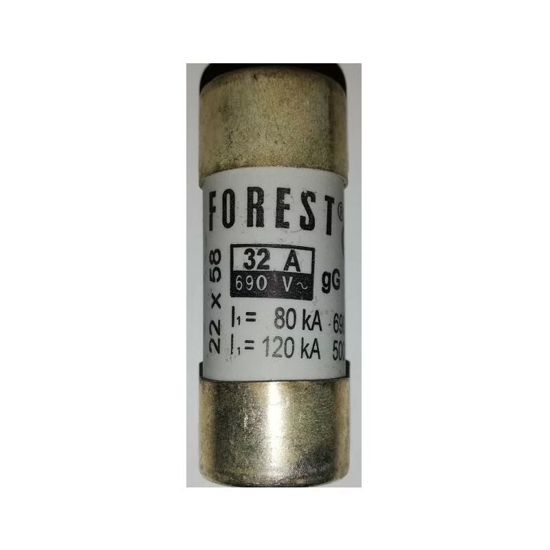 

fusible 32A bosque con 22,2x58mm delantero