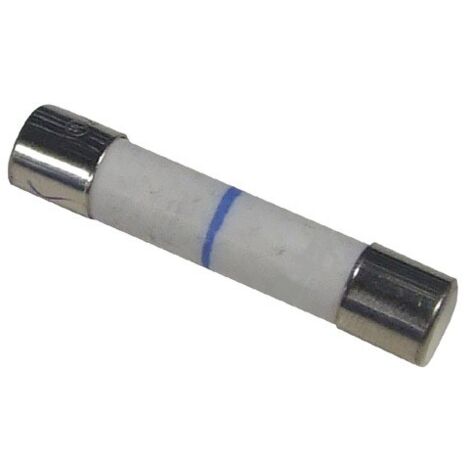 Fusible 32mm 12a pour Micro-ondes LG 3B74133S
