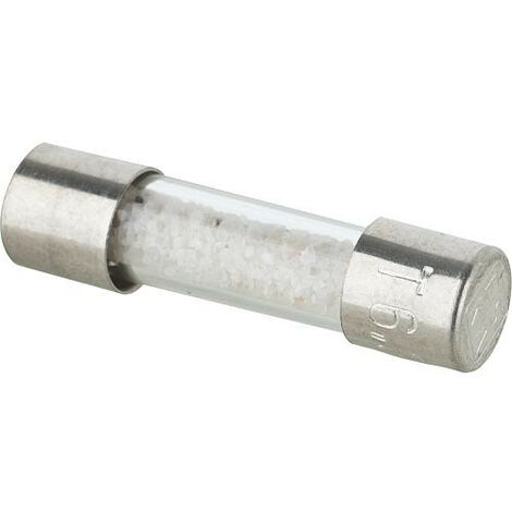 Fusible 6, 3A, temporise Wolf 8902434 sachet de 10