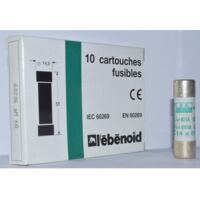 Lot de 10 fusibles temporisés T 2A 250V 5x20mm