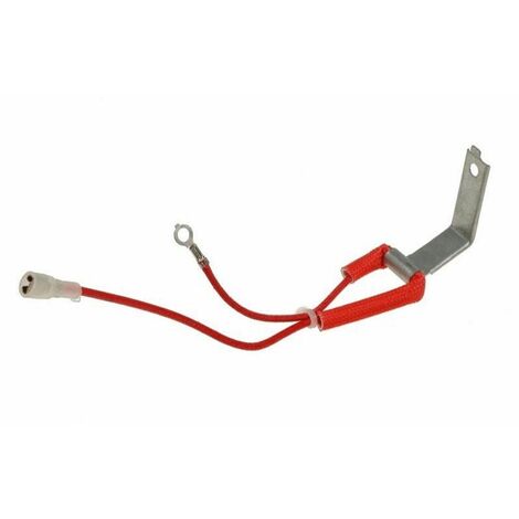 FUSIBLE+CONNECTEUR POUR PETIT ELECTROMENAGER SEB - SS-995350