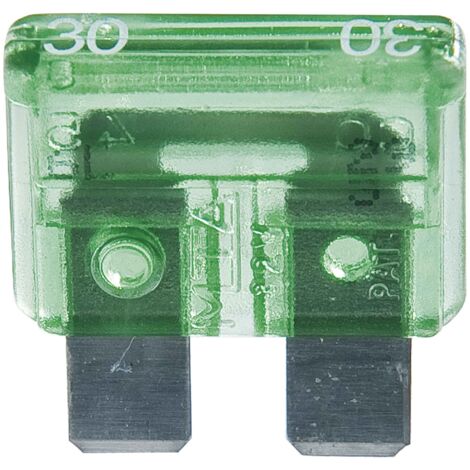 Fusible de automóvil estándar 30A