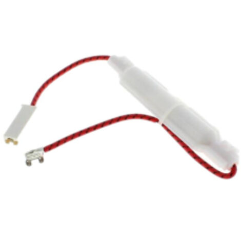 FUSIBLE H.T. MICRO-ONDES C00566594