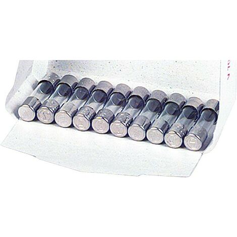 Fusible lent 2,5A (5x20), cond. 10