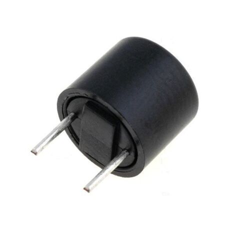 Fusible Lento Miniatura RFT-0,250Amp  R5,08mm