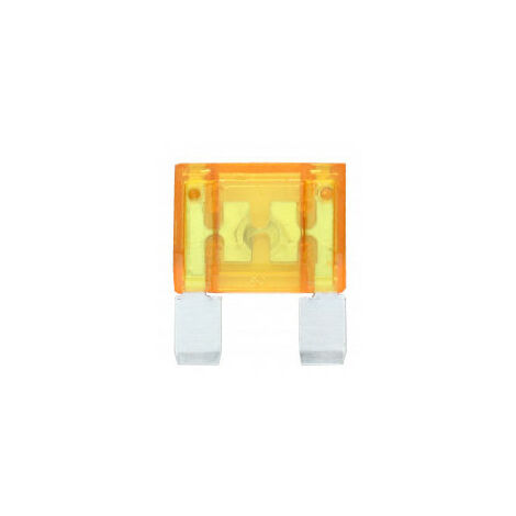 Fusible magnum a broches - 40A (par 10)