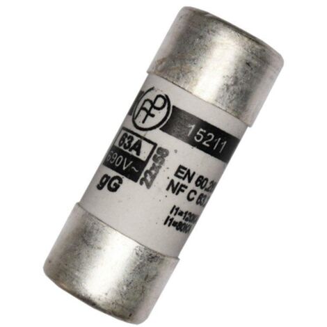 Fusible MT2 63 à 22 x 58 mm