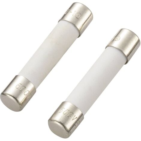 TRU COMPONENTS Fusible multimètre (Ø x L) 6.35 mm x 31.8 mm 0,5 A 600 V super rapide -FF- 6FF-1 HOLLY contenu 1 pcs. S847091