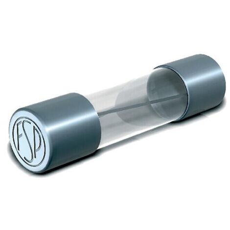 Fusible rapide miniature 5x20 3,15A lot de 10