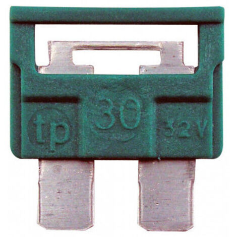 Fusible standard a broches - 30A (par 50)