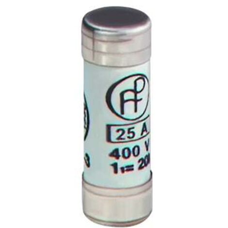 Fusibles 6A sans voyant NF (x10)