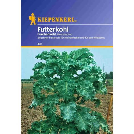 Futterkohl Westfälischer Furchenkohl 500 g Brassica oleracea var. viridis