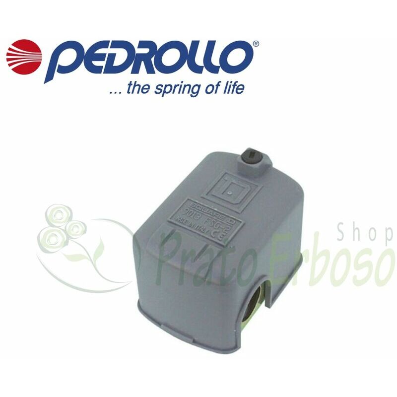 

Pedrollo - FYG 32 - Interruptor de presión, de una sola fase ajustable 10.5 bar