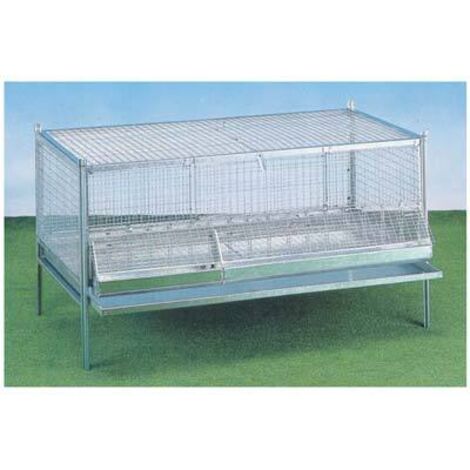 GABBIA PULCINI ANTITOPO  CM 100X50 H.CM 60