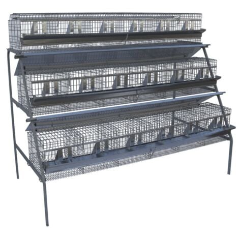 NOVITAL -6 Conigli / 3 Fori / 1 Piano