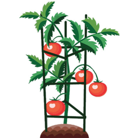 GABBIE P/POMODORI BRIXO ACCIAIO-PE H.150CM