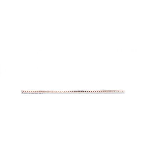 Gabelanschluss-Sammelschiene 2P 100A 16mm2 (54mod.) IZ16/2F/54 002921067