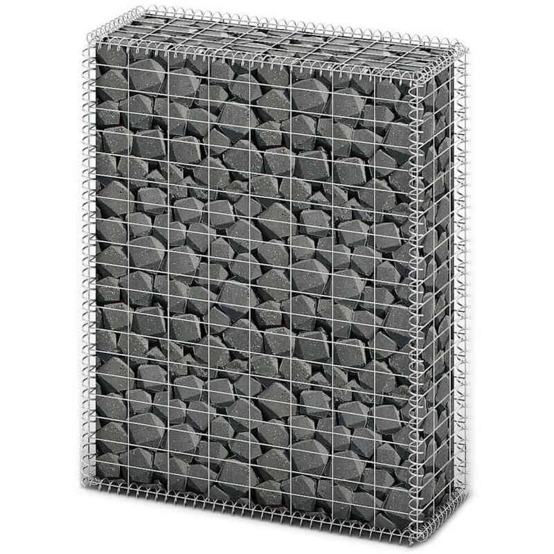 Vidaxl - Panier de gabion avec couvercle Fil galvanisé 100 x 80 x 30 cm