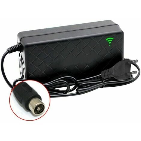 GABRIELLE 24V 2A Velo Electrique Velo Chargeur De Batterie Au Lithium Intelligent Sortie 29.4V 2A Chargeur Port Cc Chargeur Rapide Avec Ventilateur De Refroidissement, Prise Rca