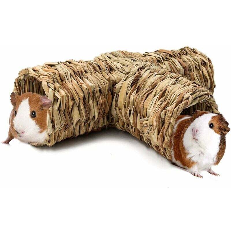 Hamster Herbe Tunnel Jouet Cochon d'Inde Tunnel et Tube Jouet pour Rats, Hamsters Syriens, Furets, Cochons d'Inde, Chinchilla Hérissons et Lapins (1