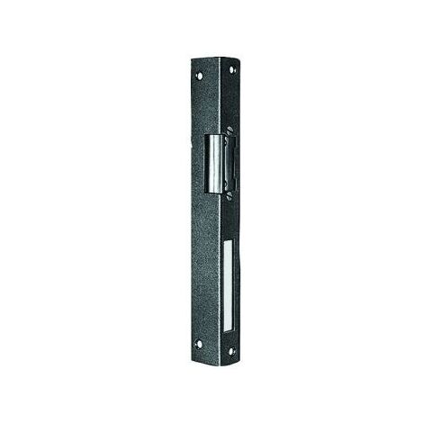 Gache électrique 6-12 V.ls m. Wi.Bl.m.Mech.débloquant