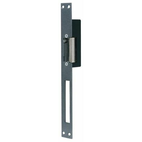 Gache Electrique A Mortaiser Reversible Execution Std 001014
