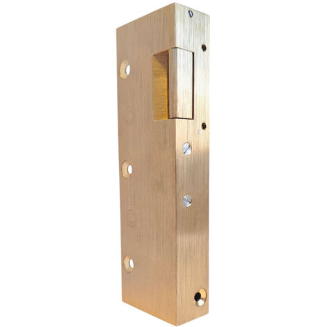Gache électrique en applique 158 mm serrure verticale contact stationnaire 12V droit Beugnot 12