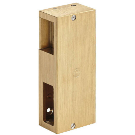 Gâche électrique en applique N.3 BIS - BEUGNOT Jaune/Doré 50  Droite  Poussant emission                                                                           120  50                    50