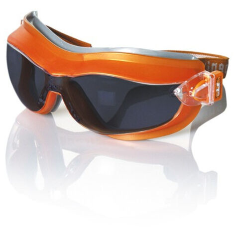 Gafas de Montura Universal Phoenix (6 uds) | Ahumado