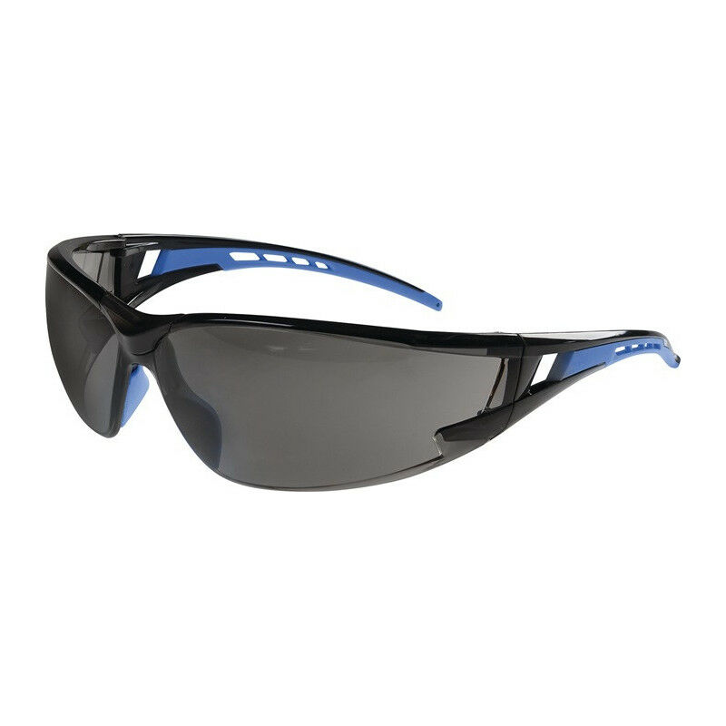 

Gafas de seguridad Falcon 2 EN 166, patillas azules, lente PC PROMAT tintada