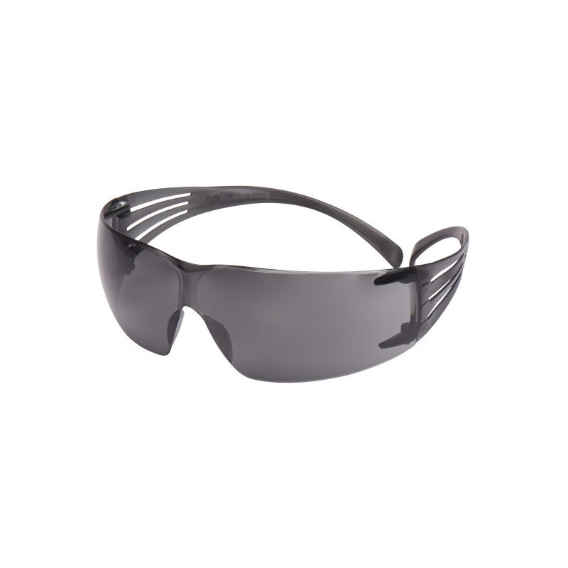 

Gafas PC-gris AR y AE SF202AF